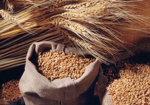 таблица продуктов с высоким содержанием белка' '='